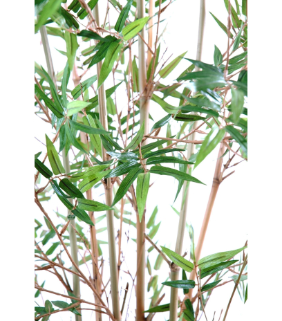 Bambou artificiel fargesia