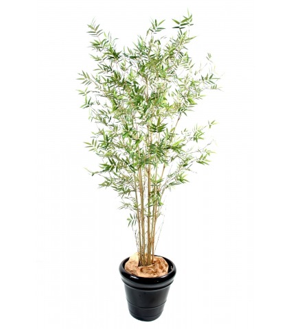 Bambou artificiel fargesia