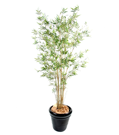Bambou artificiel fargesia