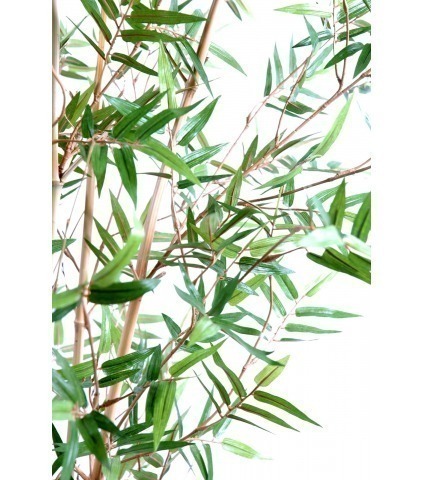 Bambou artificiel fargesia