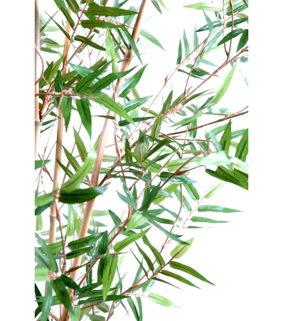 Bambou artificiel fargesia