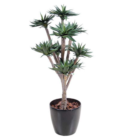 Agave artificiel à neuf têtes