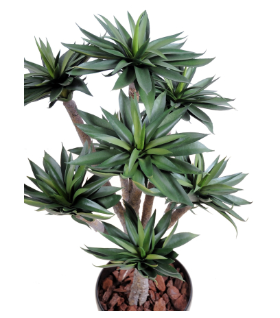 Agave artificiel à neuf têtes