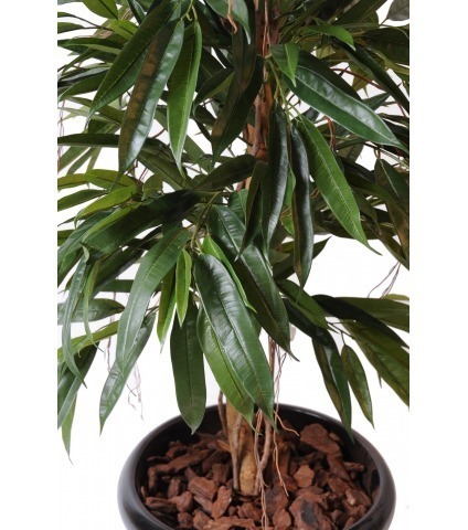 Ficus artificiel longues feuilles