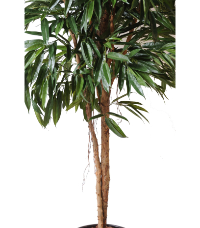 Ficus artificiel alii