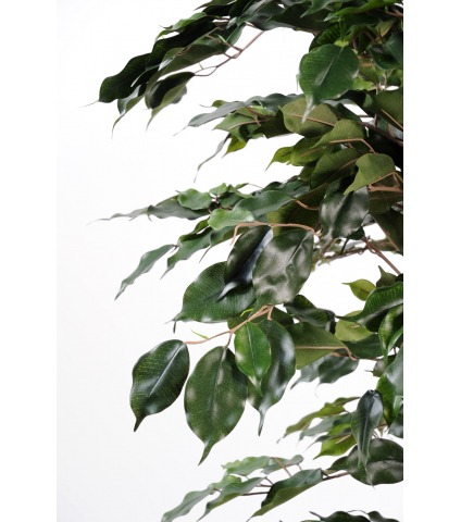 Ficus synthétique exotica