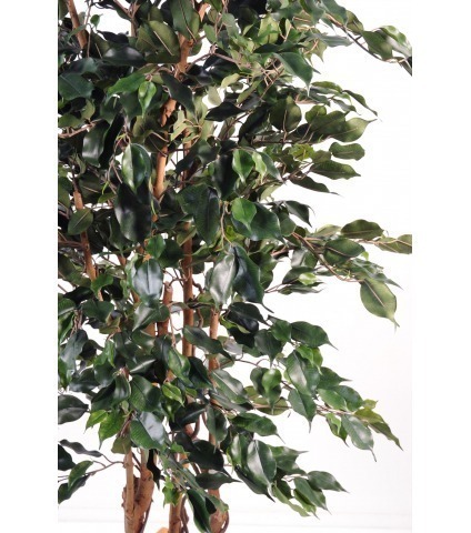 Ficus synthétique exotica
