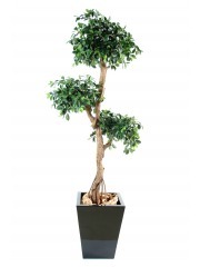Ficus topiaire artificiel
