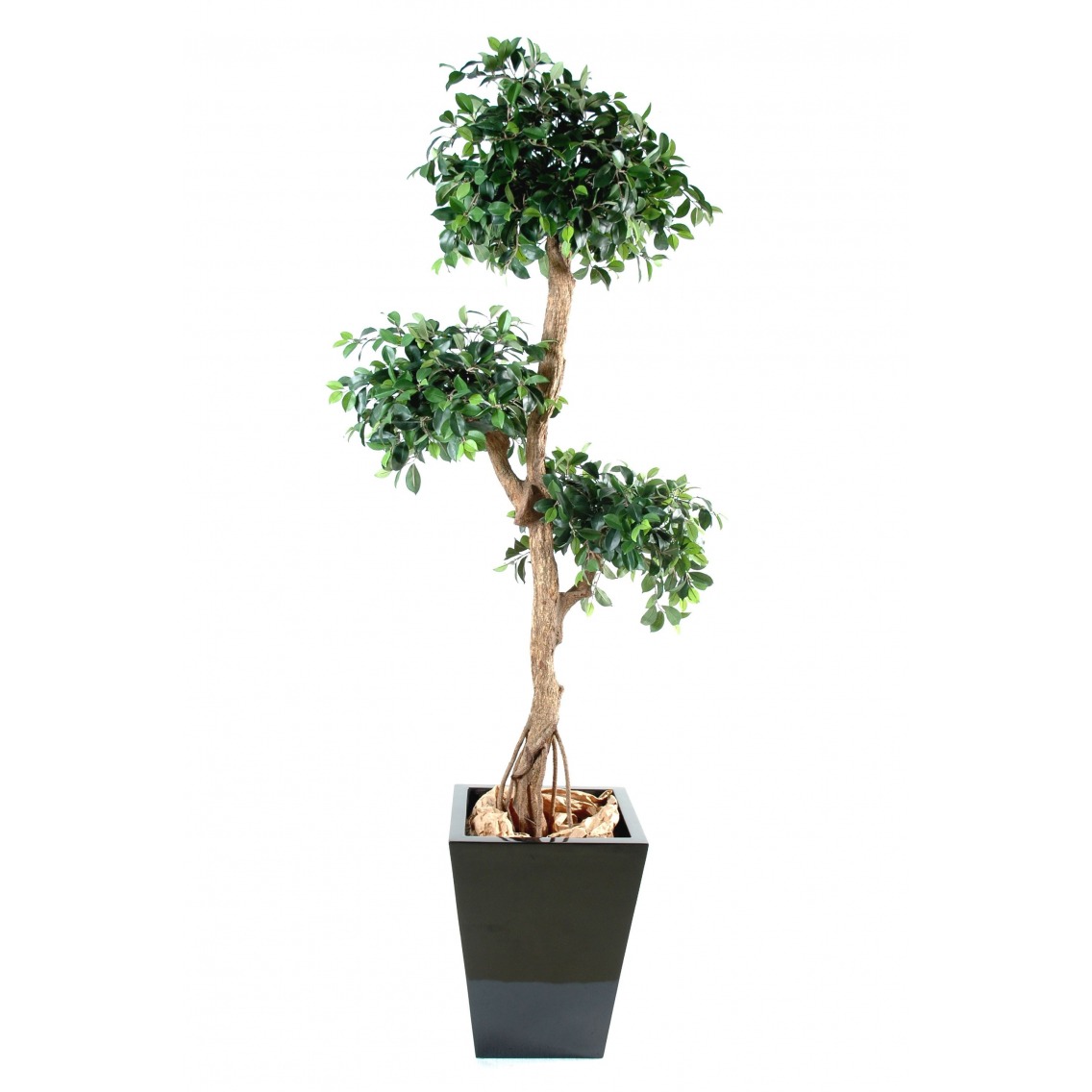 Ficus topiaire artificiel