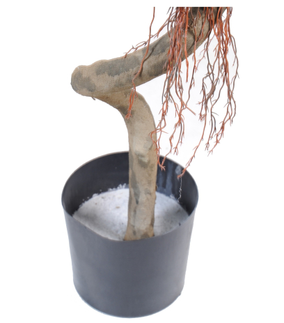 Pot