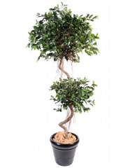 Ficus artificiel à deux têtes