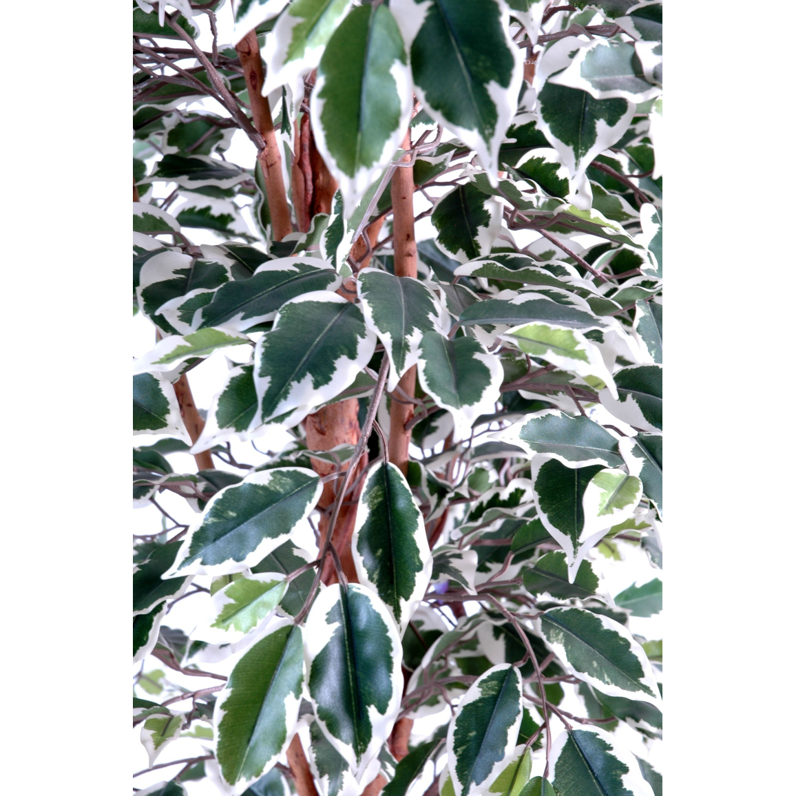 Ficus Artificiel Bonsaï 43 Cm - Plante Décorative Verte Pour Intérieur, Bureau, Cuisine