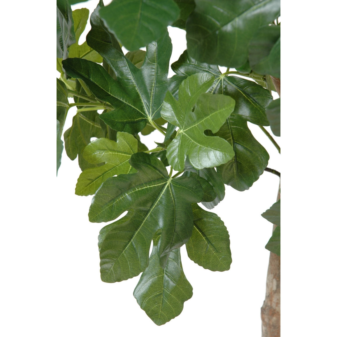 Arbre Tropical artificiel En Pot En Céramique Avec Support B1 - Plantes