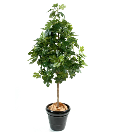 Figuier artificiel