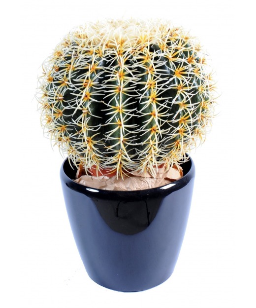 Cactus blanc artificiel 