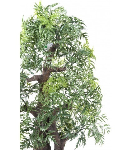 Bonsaï artificiel aralia