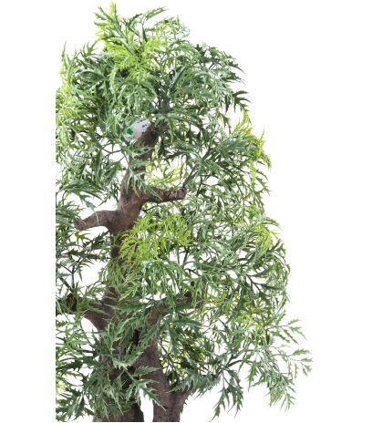 Bonsaï artificiel aralia