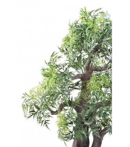 Bonsaï artificiel aralia