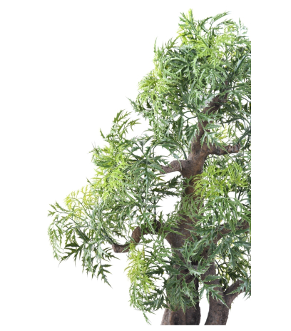 Bonsaï artificiel aralia