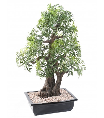 Bonsaï artificiel aralia