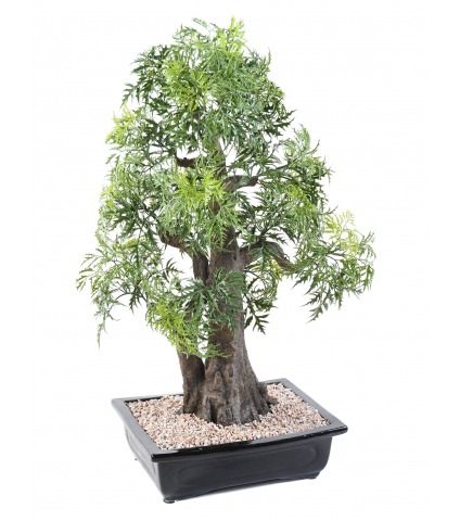 Bonsaï artificiel aralia