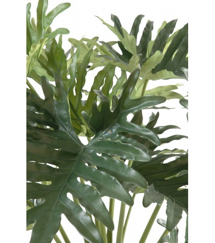 Philodendron selloum artificiel