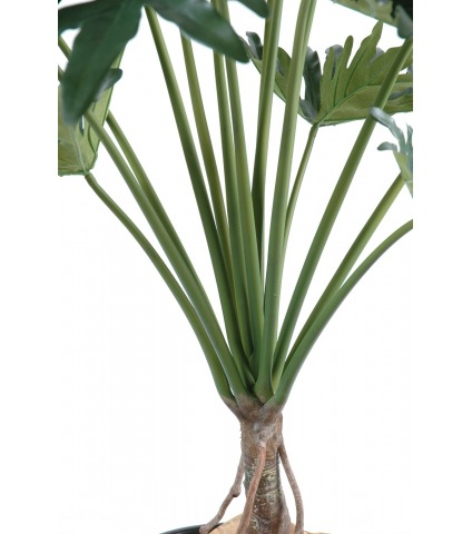 Philodendron selloum artificiel