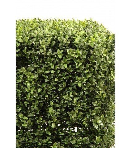 Buis artificiel carré