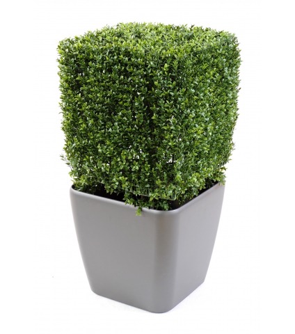 Buis artificiel carré