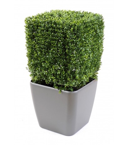 Buis artificiel carré