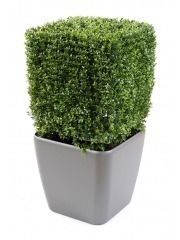 Buis artificiel carré