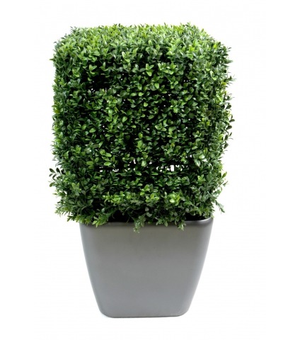 Buis artificiel carré