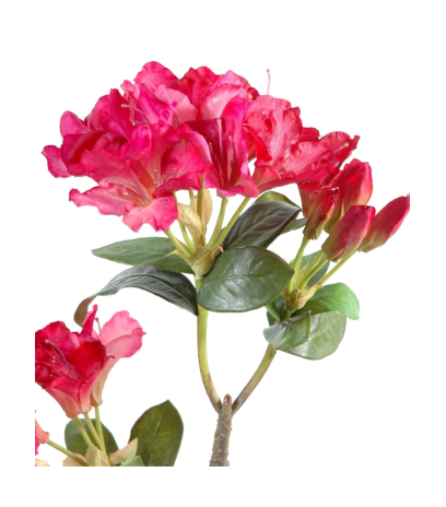 Fleur d'azalée artificielle