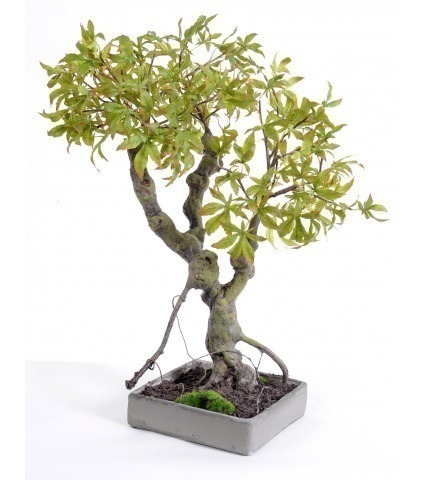 Bonsaï artificiel érable