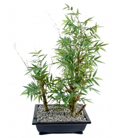 Bonsai artificiel bambou