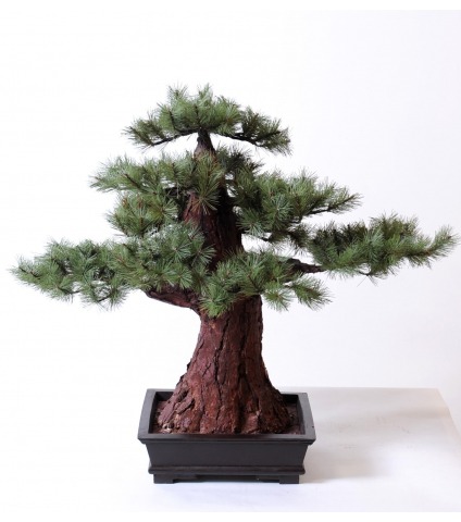 Bonsaï pin artificiel