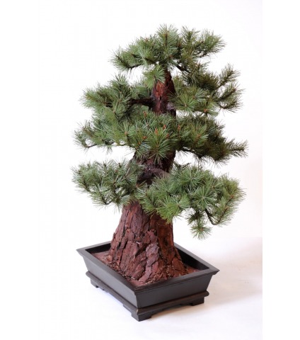 Bonsaï pin artificiel