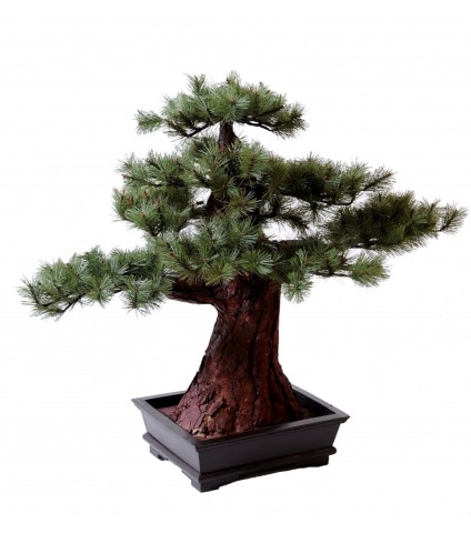 Bonsaï pin artificiel