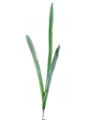 Feuille de glaïeul artificielle