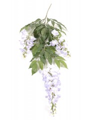 Chute de glycine (blanche)