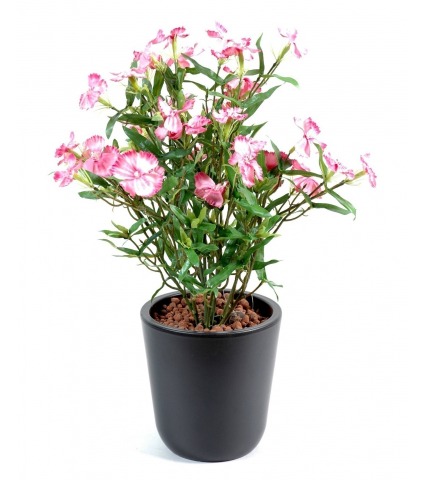 Dianthus artificiel