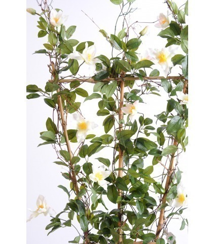 Palissade de clématite