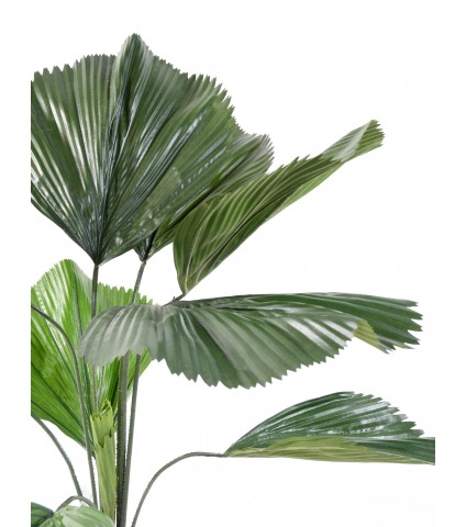 Palmier artificiel cuillère