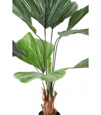 Palmier artificiel cuillère