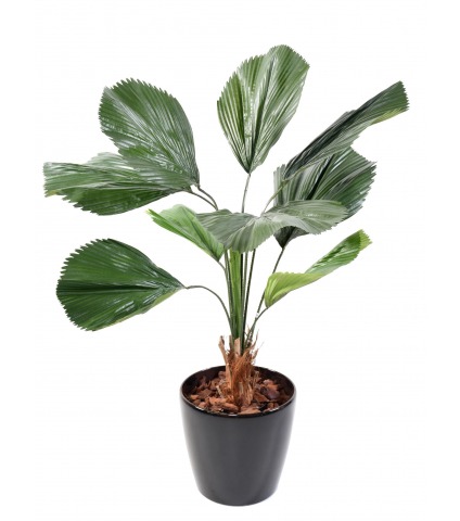 Palmier artificiel cuillère