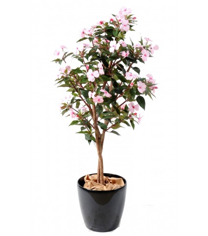 Impatiens artificielle de nouvelle guinée 