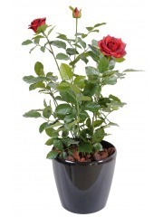 Rosier artificiel rouge