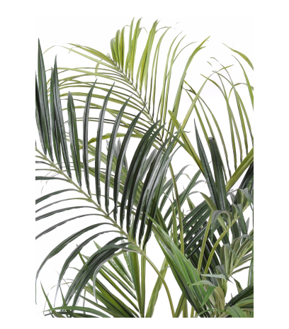 Palmier kentia artificiel