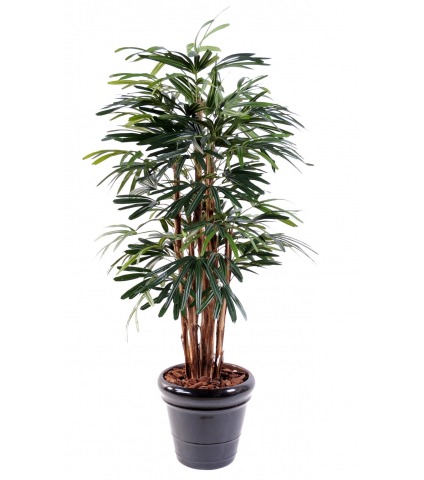 Palmier artificiel rhapis