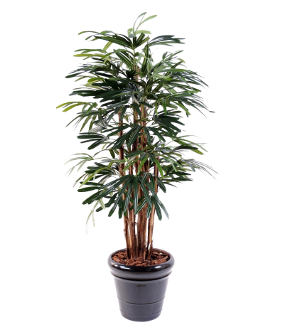 Palmier artificiel rhapis